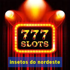 insetos do nordeste